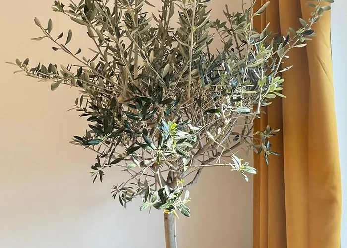 7 Im Herzen Von Appartamento *