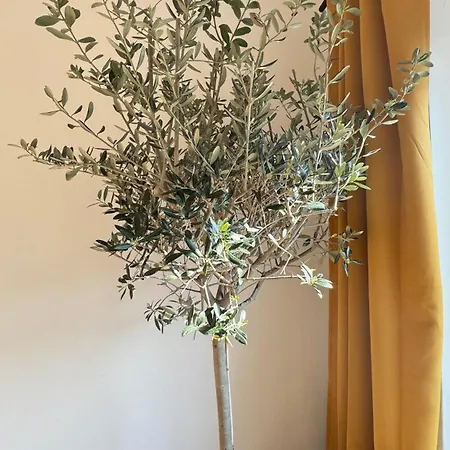 7 Im Herzen Von Διαμέρισμα *